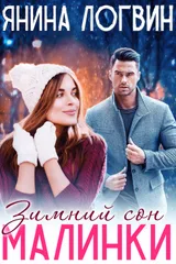 Зимний сон Малинки обложка